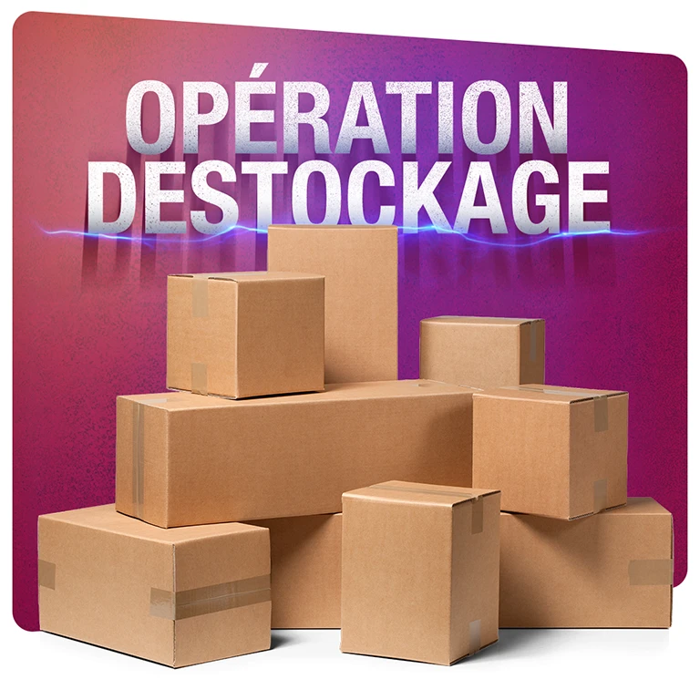 destockage trottinettes éléctrique