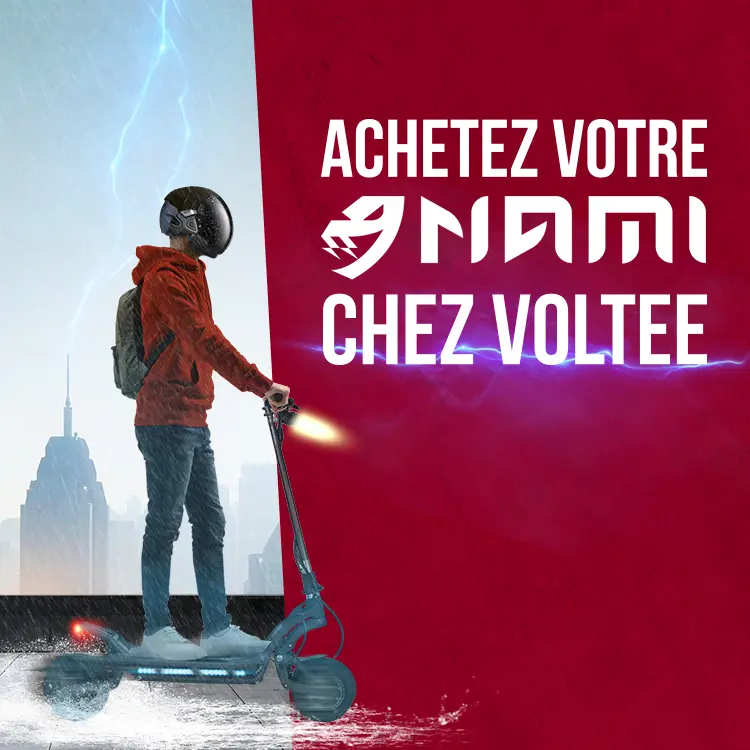 dualtron pièces détachées